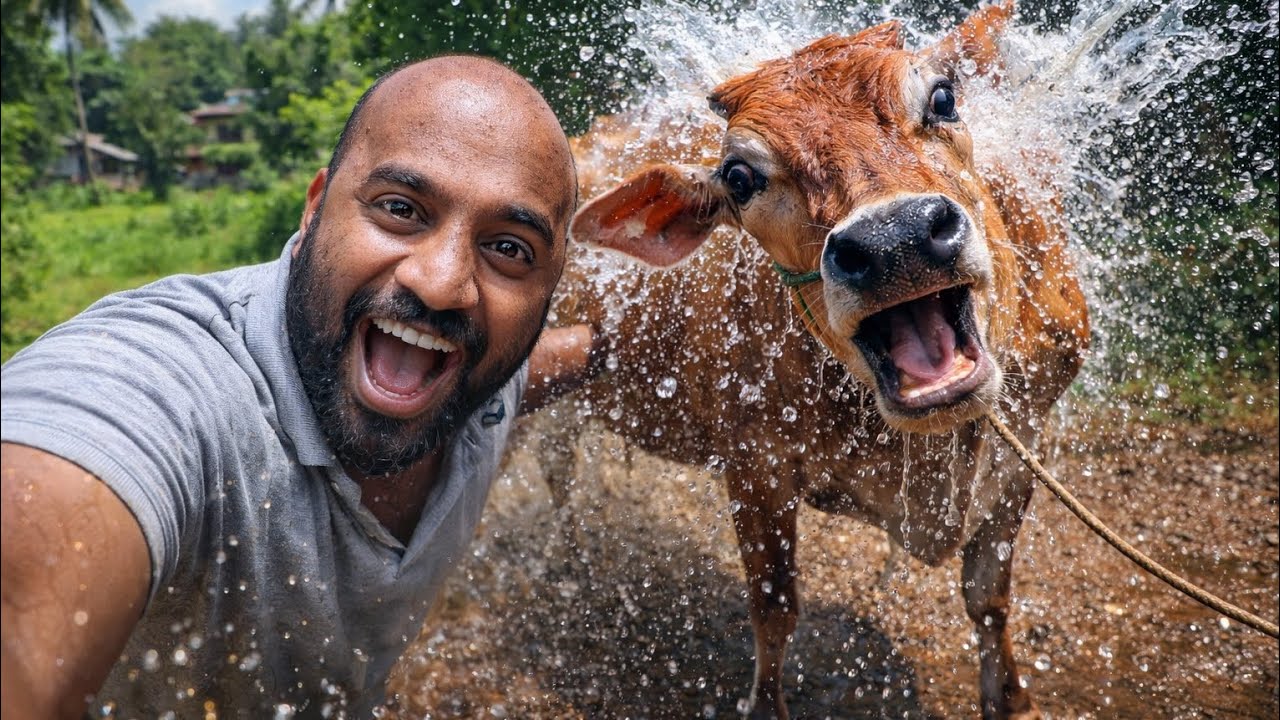 My Day: Cow Care & Family Love 💛
