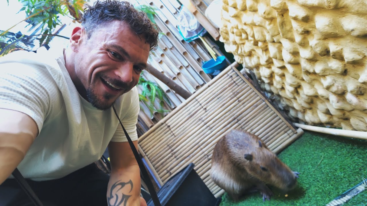 Monitor Lizards, Capybaras & Muay Thai in Bangkok, Thailand