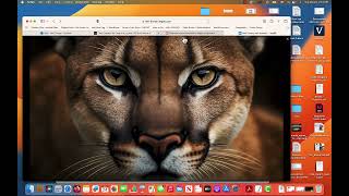 Responsive Image Assignment