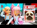 😰El perrito de la Pelos se ha perdido en Brookhaven😣/Roblox