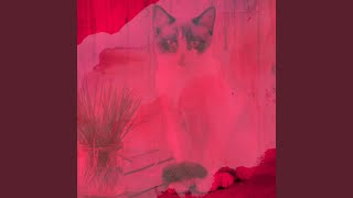 Modish Cats Jukebox