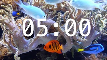 5 Minute Aquarium Countdown Timer |  Ocean Timer | Fish Timer | Relaxing Music