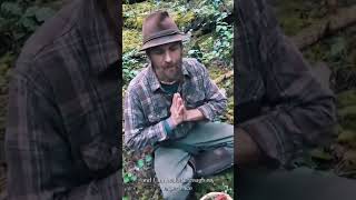Closing of the Veils - giving things to the natural world.