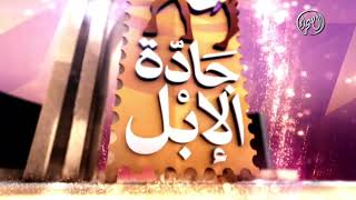 مهرجان جادة الإبل في تبوك عروض فئة جمل 30 حمر
