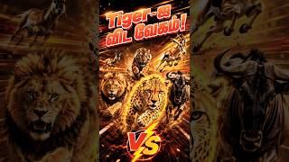 Cheetah Tiger-ஐ Easy-ஆ Beat பண்ணுமா?! 😱 | Tamil Wildlife Facts #ytshorts #creator