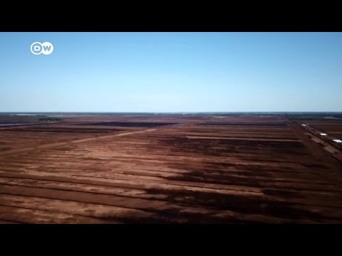 تابعونا على DW عربية مباشر