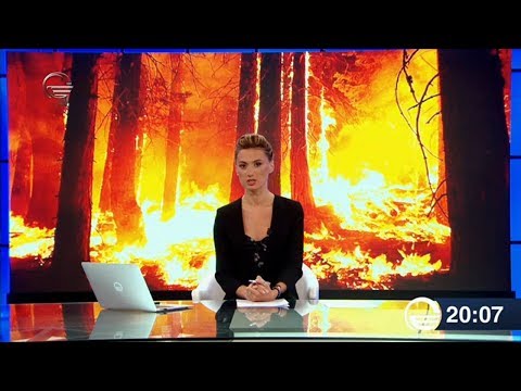 ქრონიკა 20:00 საათზე - 23 აგვისტო, 2019 წელი