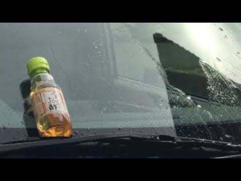 フロントガラスの油膜はお酢で除去 Youtube