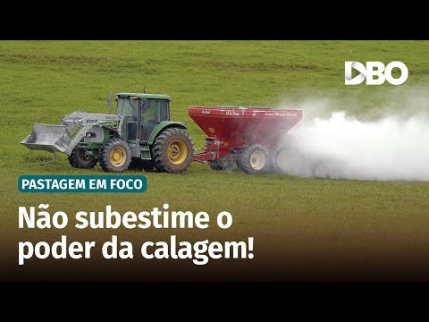 Does applying limestone to pasture cover really work? - video from Portal DBO