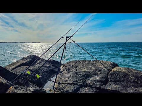 Mixed Session Fishing North Wales