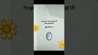 Download Lagu #funny #viralvideo #podii MP3 Download Lagu #funny #viralvideo #podii MP3