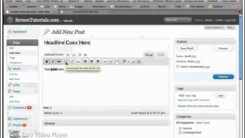 E:\MLM\Austin_Walsh\ISOCIAL\New_Post_In_Wordpress.avi