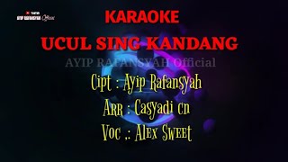 Karaoke Ucul Sing Kandang - Alex Sweet | Tarling [ HIBURAN]