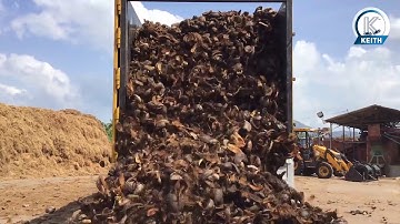 Coconut Shell & Husk being unloaded by a KEITH® WALKING FLOOR® system