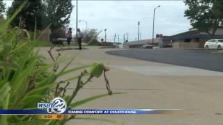 Greif animals in Berrien County