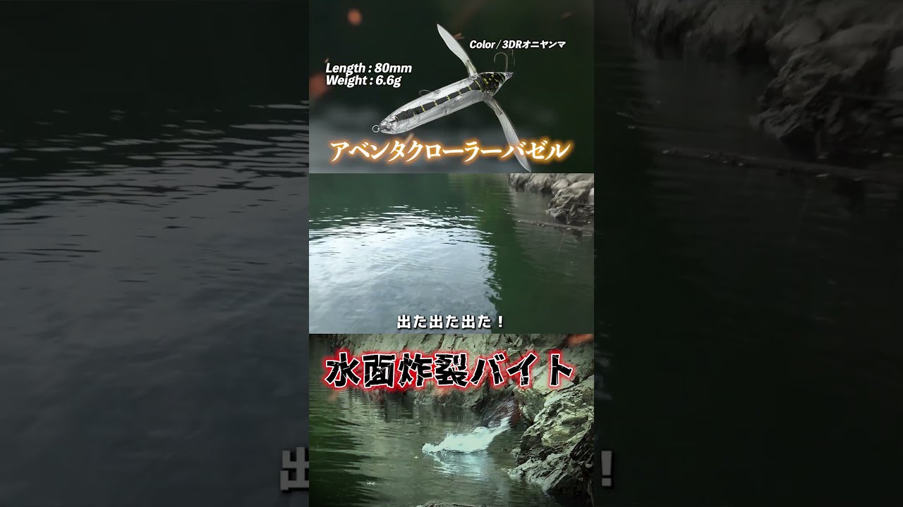 開始早々の水面炸裂バイト！ アベンタクローラーバゼル
