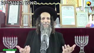 הרב עופר ארז - ראש הכנופייה (חדש שליחת שאלות לרב עופר ארז בקישור למטה)