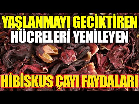 Yaşlanmayı geciktiren ölü hücreleri yenileyen mucizevi bitki !