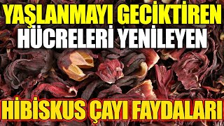 Yaşlanmayı geciktiren ölü hücreleri yenileyen mucizevi bitki !