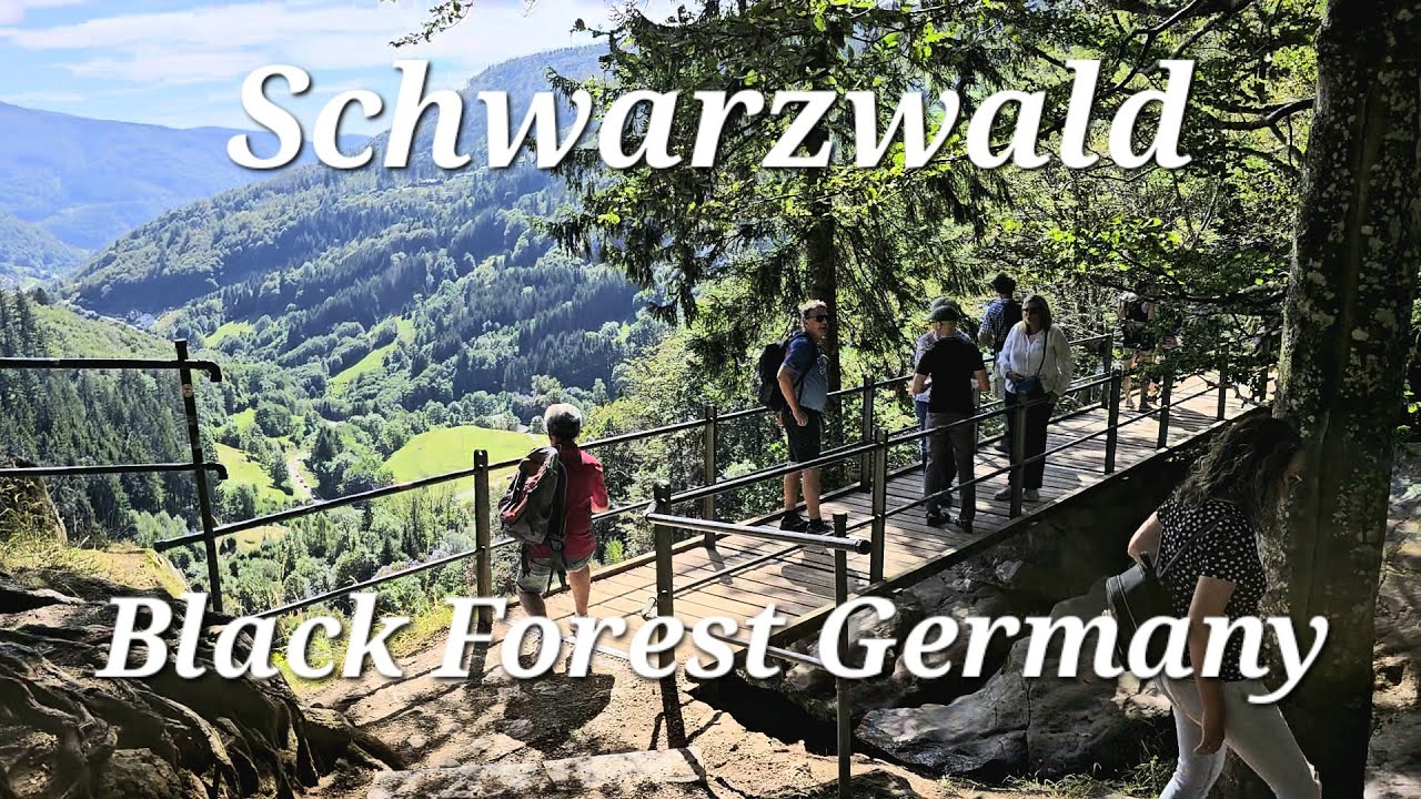 Black Forest Germany - Suspension Bridge To Titisee Schwarzwald
