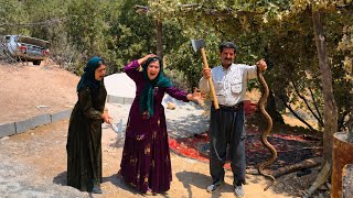 The Mountain Elder Hunted a Venomous Snake The Homeless Family s Incredible Reaction