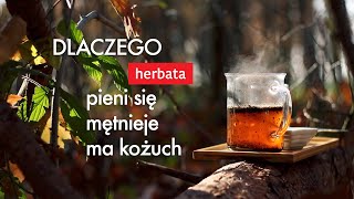 Dlaczego herbata pieni się, mętnieje i ma kożuch | Czajnikowy.pl