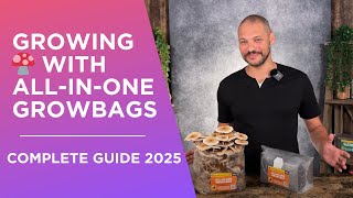 How to Grow Mushrooms at Home | All-in-One Grow Bags Tutorial (No Experience Needed)