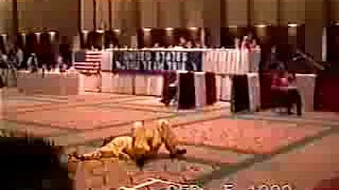 1992 Tracy Fleming Drunken Form