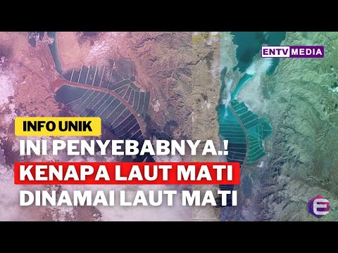 Video: Mengapa Laut Mati Disebut Sebagai Itu?