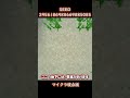 消えたエンドポータル！？２連続スポナー×２！？ありえない神シード値を紹介！【マイクラ統合版】#shorts