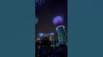 Worth Seeing Supertree Light Show, Garden Rhapsody #singapore #lightshow #gardenbythebay #marinabay