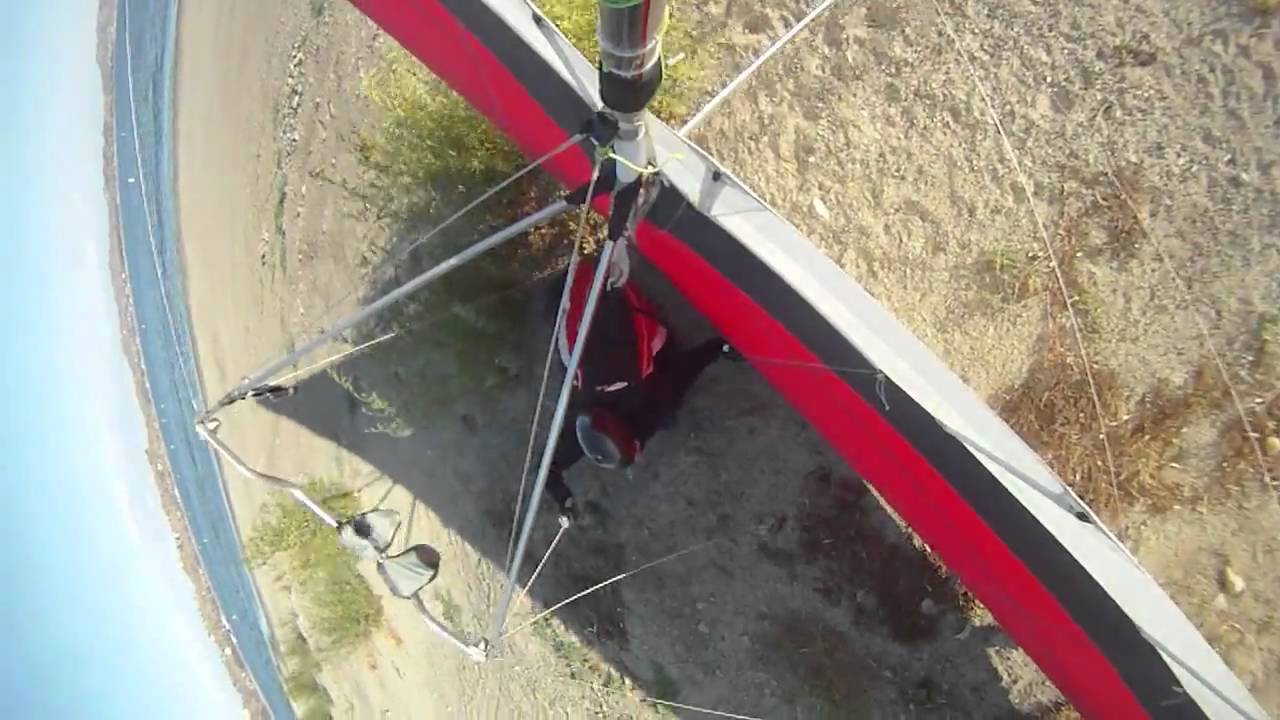 Whack Award Winner 2009!