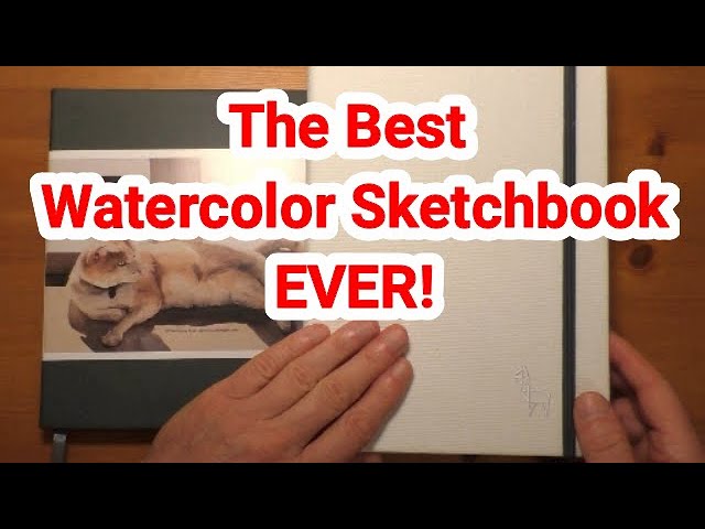 Koval Sketchbook Pro, Saunder's Waterford 100% Cotton Watercolor Paper  Review – Odyssey Art