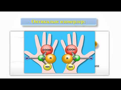 Video: Аминокислоталар деген эмне?