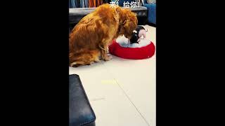 He Took The Big One But Not For Himself