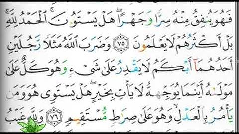 مصحف التجويد الصفحة 275 إبراهيم الأخضر