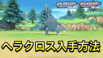 ヘラクロスダイパ交換