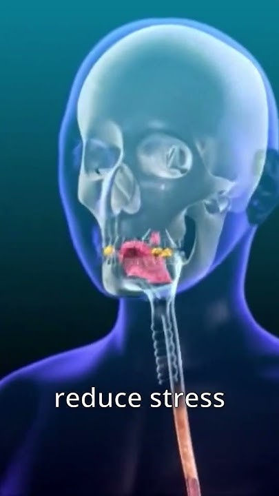 why-chewing-gum-should-be-allowed-in-school-youtube
