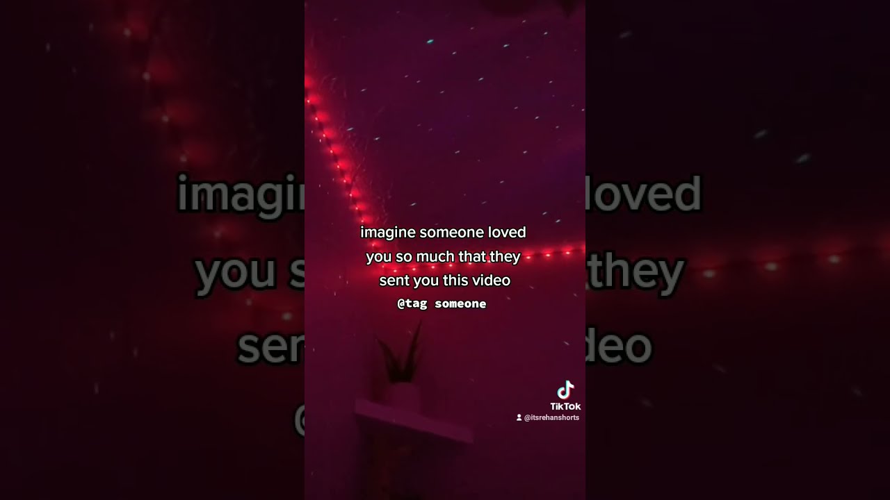 Tag Someone Shorts Tiktok Love Short Share Foryou Like Viral Reels Couple Status