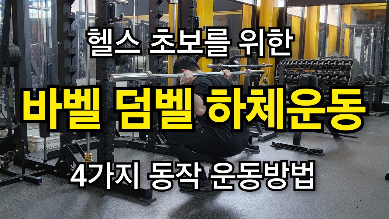 바벨 덤벨 하체운동 헬스 초보를 위한 4가지 동작 운동방법 - YouTube