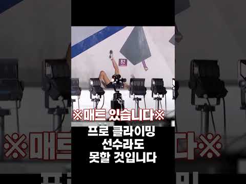 <strong>이누야샤가</strong> 가영이에게 잡혀사는 이유