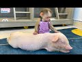 BiBi&#39;s cute reaction when she first see a piglet