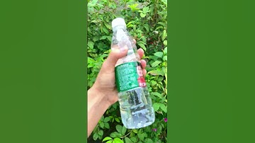 How to Get A Beauty Healing Amethyst Water Bottle?