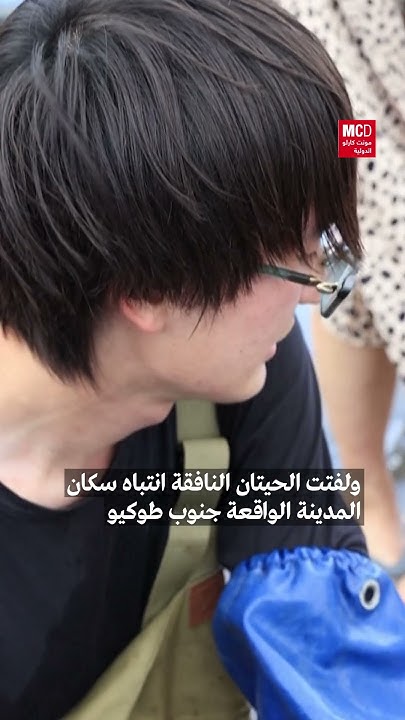 :         
 - نشر قبل 28 دقيقة
