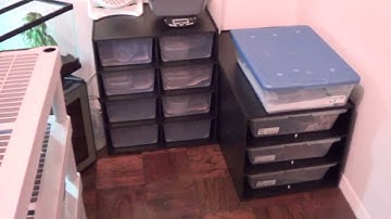 Complete Ball Python Collection--- June 2013