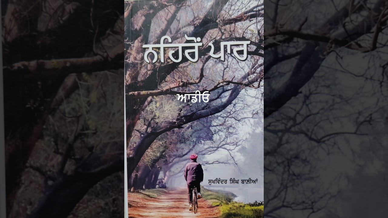ਨਹਿਰੋਂ ਪਾਰ, ਪੰਜਾਬੀ ਨਾਵਲ