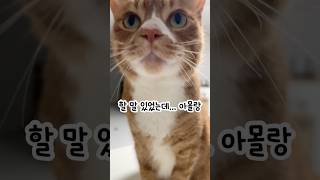말문과 하품이 동시에 터지면?