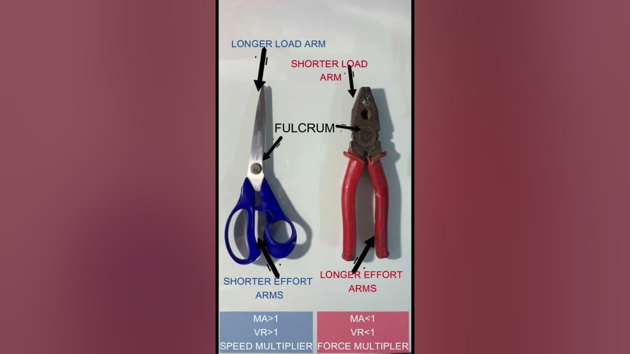 CLASS 1 LEVERS SHEARS VS SCISSORS STD 10 ICSE PHYSICS science diy 