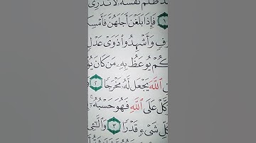 ما معنى "ومن يتق الله يجعل له مخرجا"#سورة #الطلاق