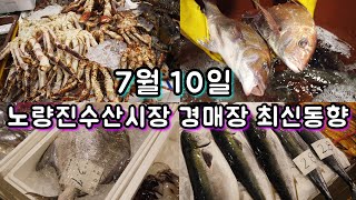 여름 장마철 수산시장은 어떨까? 7월 10일 노량진수산시장 최신동향!